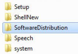 SoftwareDistribution: что это за папка и можно ли ее удалить?
