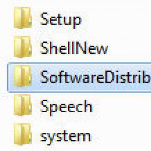 SoftwareDistribution: что это за папка и можно ли ее удалить?